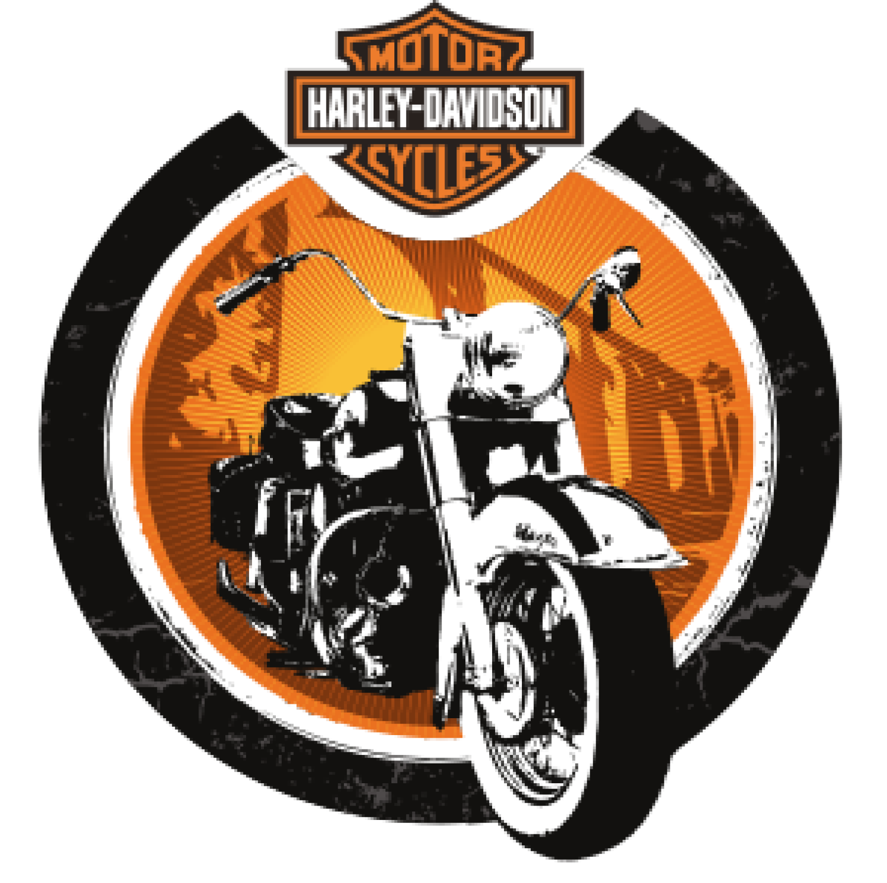 Harley Davidson Logo Evolution Harley Davidson Skull - vrogue.co